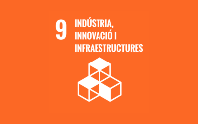 ODS 9: Indústria, innovació i infraestructures